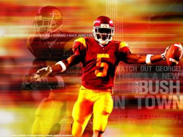 College Stats Reggie Bush