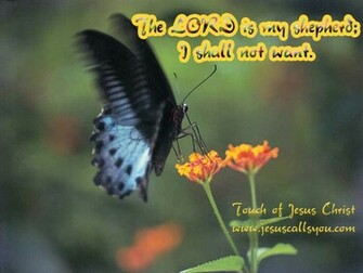 Jesus Calls You