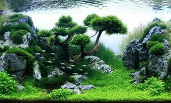 Aquascape Wallpaper Top Background