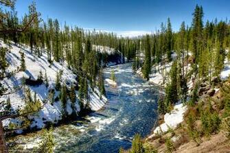 Wallpaper Yellowstone National Park River Trees Landscape