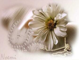 Things Feminine Wallpaper