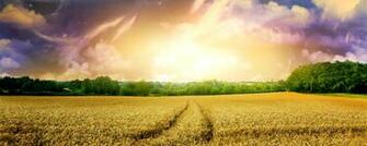 Home Panoramic Wallpaper