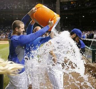 Image Cubs Ace Jake Arrieta S Great Season Dailyherald
