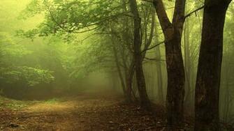 Beautiful HD Wallpaper You Ve Seen On Webupd8 Web Upd8 Ubuntu