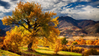 Beautiful Colorado Wallpaper On