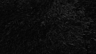 Image With Black Background