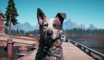 Far Cry 4k Wallpaper