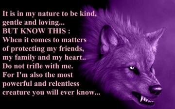 Lone Wolf HD Wallpaper Background Image