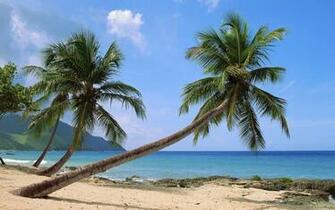 Paradise Island Desktop Pc And Mac Wallpaper