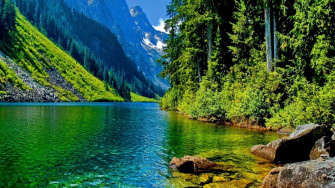 Nature 4k Image Pics Wallpaper