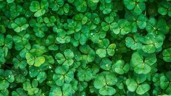 Happy St Patrick S Day 4k HD Desktop Wallpaper For