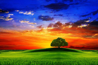 World Entertainment Point The Best Nature Wallpaper Compilation