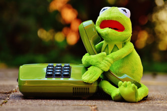 Cute Kermit The Frog Wallpaper On