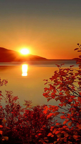 A Beautiful Of Sunshine Wallpaper