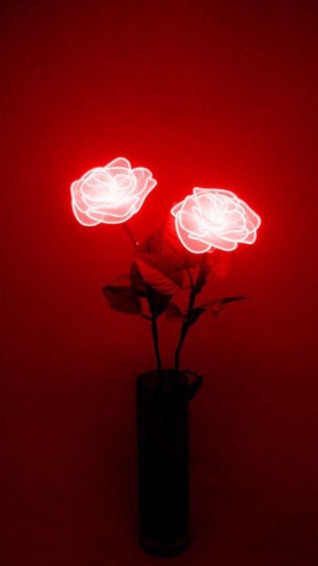 Light Red Aesthetic iPhone Wallpaper Net