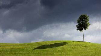 Amazing Nature HD Wallpaper 1080p