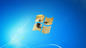 Displaying Image For Doge Windows
