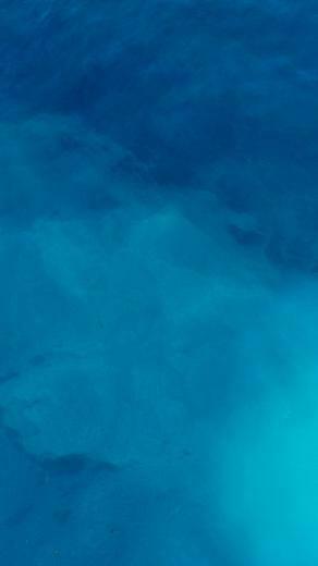 Marissa Broider On iPhone Wallpaper Blue