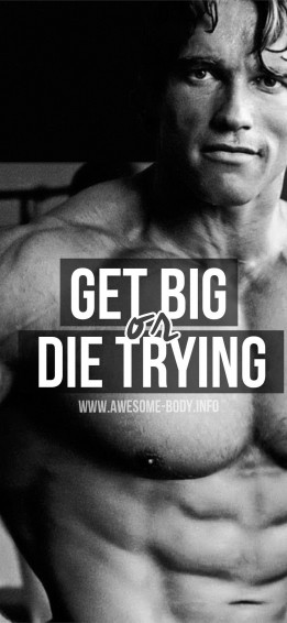 Best Arnold Schwarzenegger iPhone HD Wallpaper