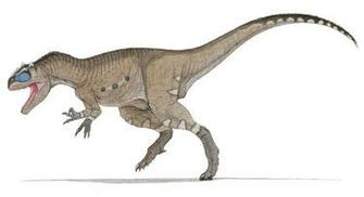 Allosaurus No By Ahrkeath