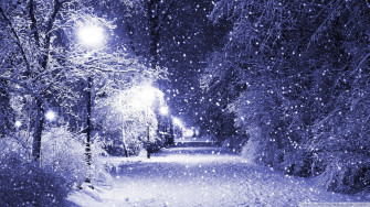 Winter Night Desktop Wallpaper