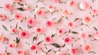 Baby Pink Wallpaper