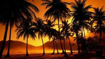Tropical Sunset Wallpaper HD Desktop