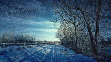 Winter Animal Scenes Wallpaper Pc