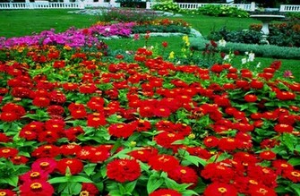 Url Smscs Photo Beautiful Html