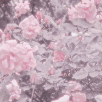 4f157eba16723ac1ccb8813ac1da2c17 Wallpaper