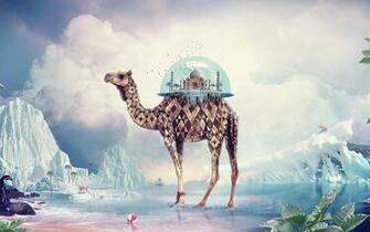 By Request Absurd Wallpaper Continued