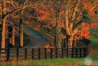 Fall Scene Woodburn Farm