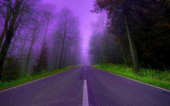 Image Gallery Purple Nature