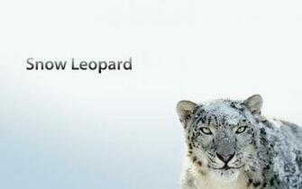 Mac Os X Snow Leopard Desktop Wallpaper