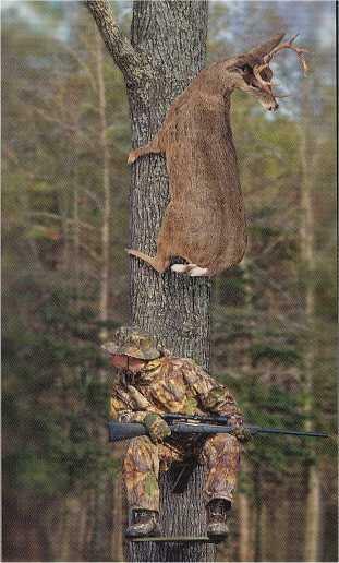 Funny Deer Tree Ii