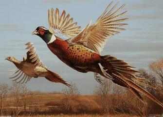 Pheasants Wallpaper Open Walls