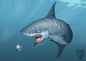Funny Shark Wallpaper HD In Animals Imageci