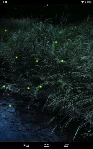 Firefly Live Wallpaper Android Apps On Google Play