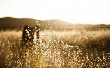 Rustic Desktop Wallpaper Top Background