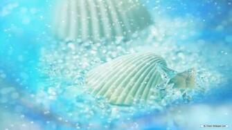 Wallpaper Nature Cg Seasons Spring Summer