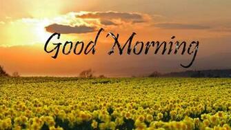 Beautiful Good Morning Image Wallpaper Wandered Lonely As A