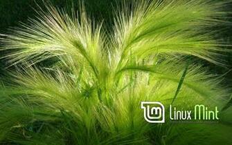 Linux Mint HD And Desktop Background Wallpaper