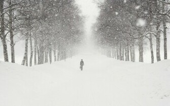 Snow Blizzard Wallpaper Winter