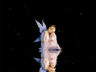 User Res Of Fairy Animated Wallpaper