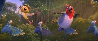Rio Movie HD Wallpaper Cover Photos