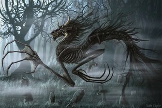 Cool Dragons Wallpaper Background HD With Resolutions