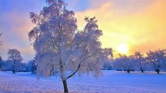 Winter Mac Wallpaper Imac Retina Macbook Pro