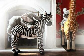 Rachelle Nursery Scalamandre Zebra Wallpaper
