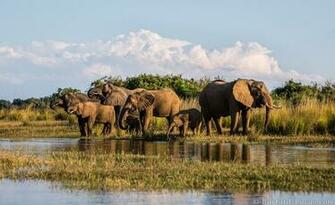 Lower Timeless Africa Safaris