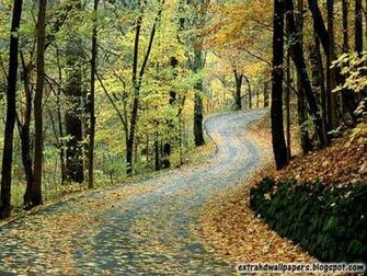 Beautiful Autumn Wallpaper Set1 Extra HD